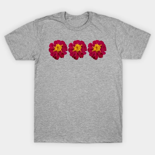 Three Red Marigold Flowers Floral Photo T-Shirt by ellenhenryart